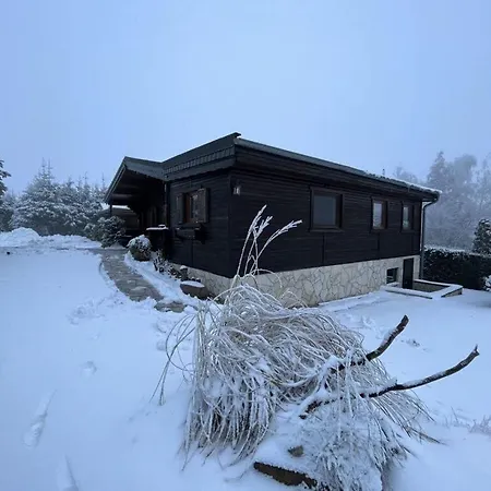 Holzhaus Junge In The Harz Schielo