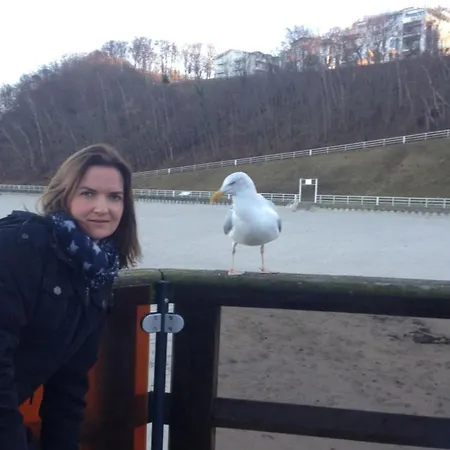 Holzhaus Junge In The Harz *