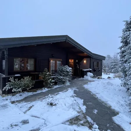Holzhaus Junge In The Harz Schielo