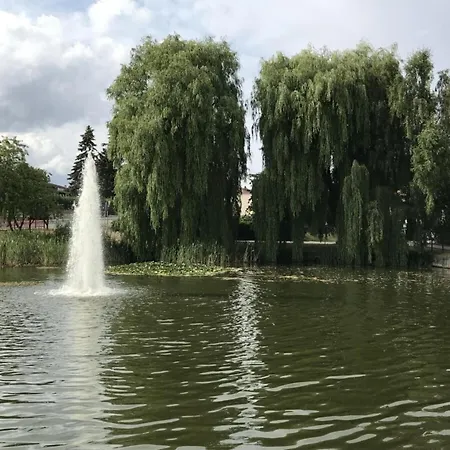 Апартаменты Holzhaus Junge In The Harz Schielo