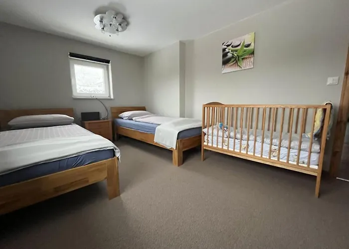 Holzhaus Junge In The Harz * Schielo