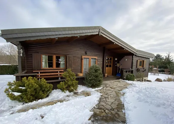 Holzhaus Junge In The Harz Lägenhet *