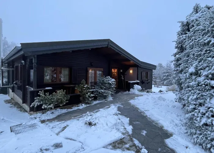 Holzhaus Junge In The Harz Schielo